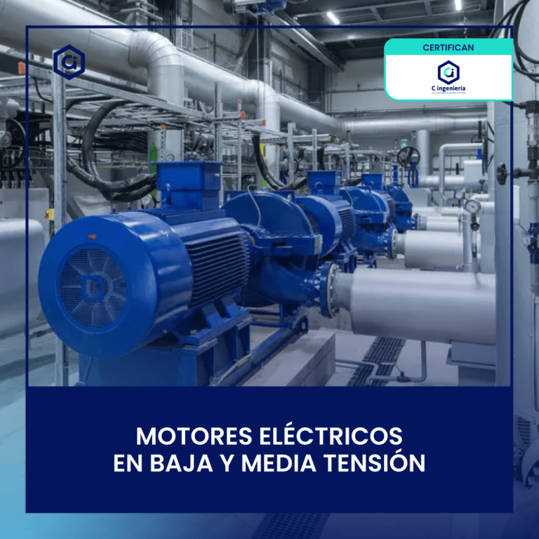 Motores Eléctricos en Baja y Media Tensión