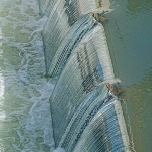 Diseño de Presas con Civil 3D | CIngeniería