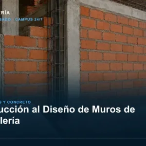 Introducción al Diseño de Muros de Albañilería