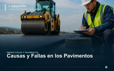 Causas y Fallas en los Pavimentos